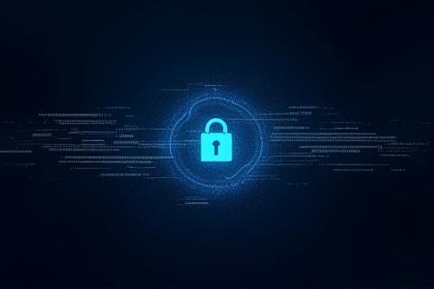 Image representing fraud detection and security